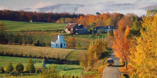 school bus on a rural road